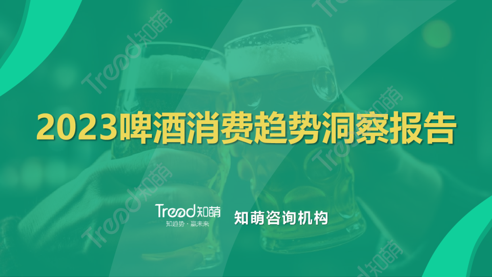 2023啤酒行业消费趋势洞察报告
