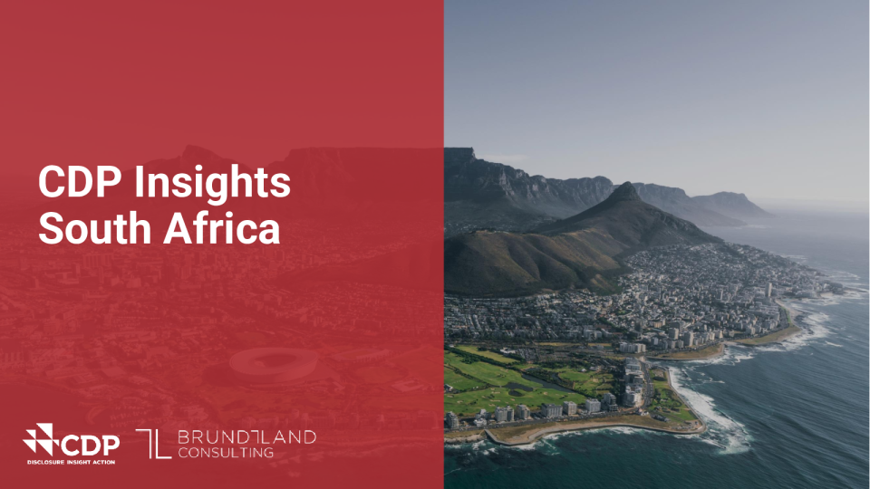 CDP 和布伦特兰南非见解