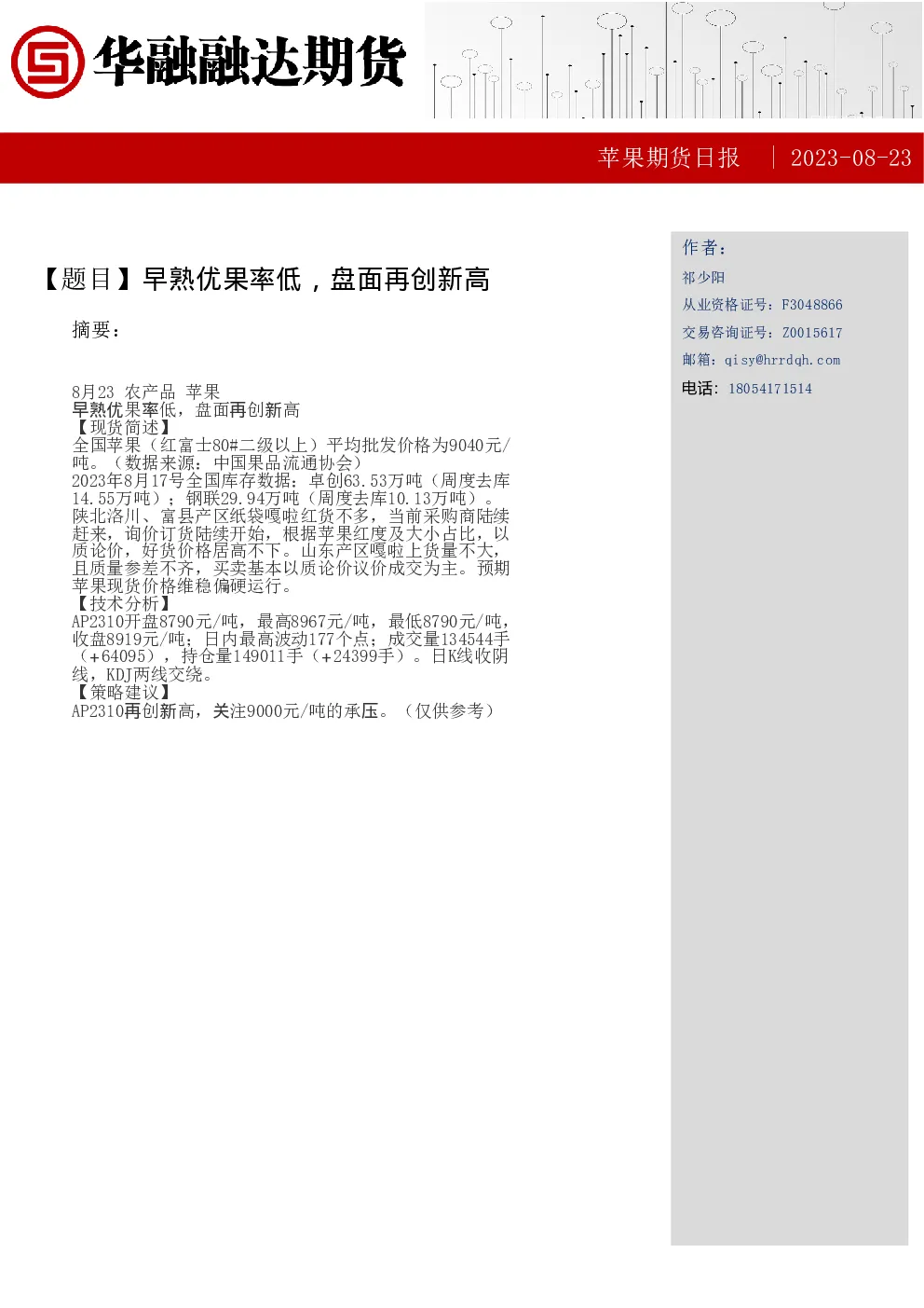 报告封面