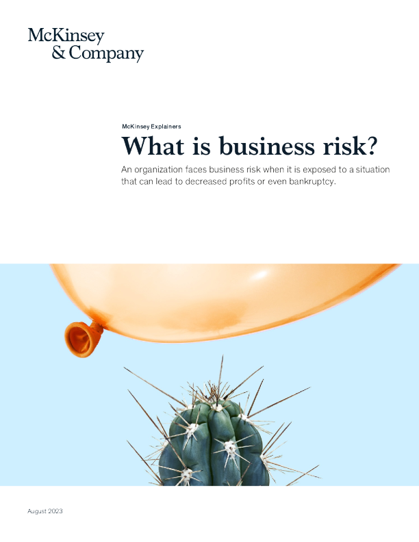 什么是商业风险 ？