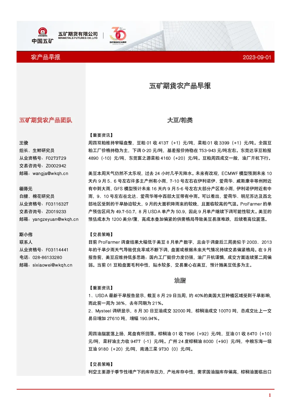 报告封面