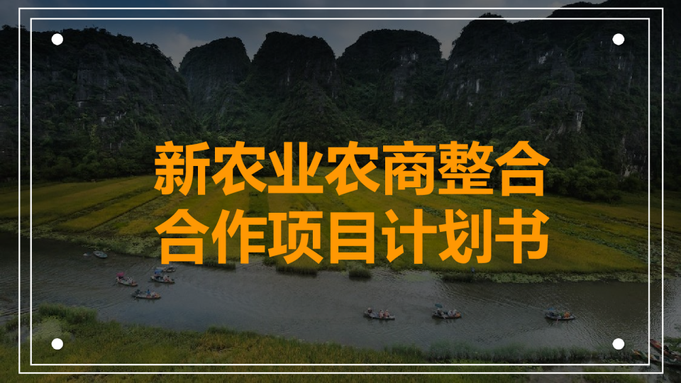 2022新农业农商整合合作项目计划书