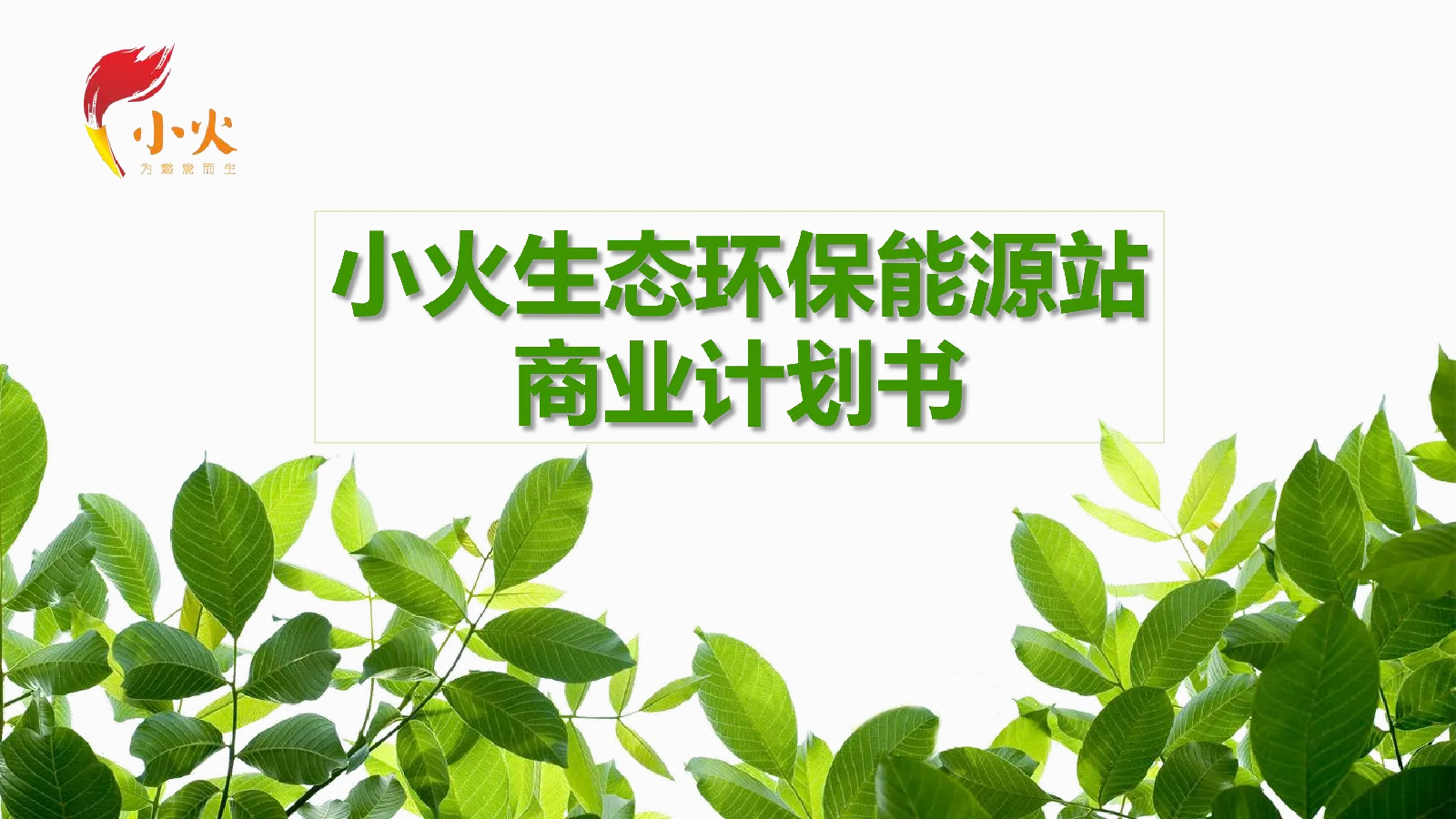 小火生态环保能源站商业计划书