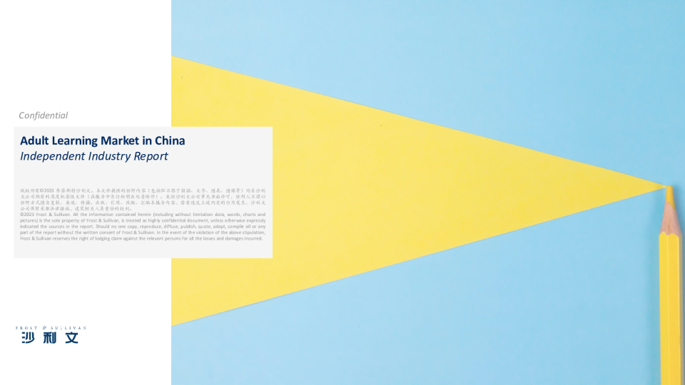 Independent Industry Report: Adult Learning Market in China