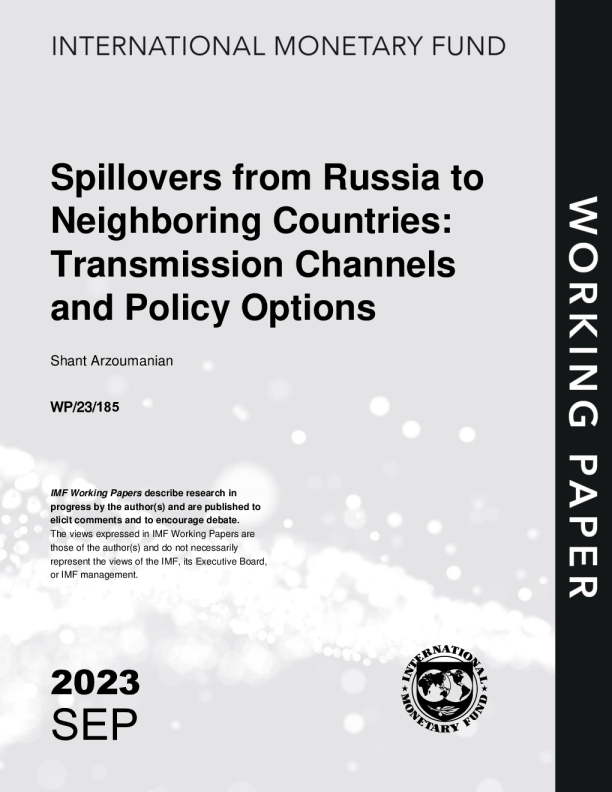 俄罗斯对邻国的影响：传导渠道和政策选择