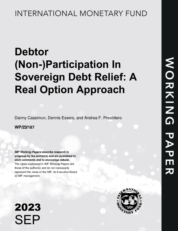 债务人 (非) 参与主权债务减免 ： 实物期权方法