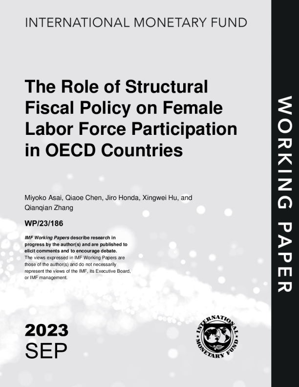 OECD 国家结构性财政政策对女性劳动力参与的作用