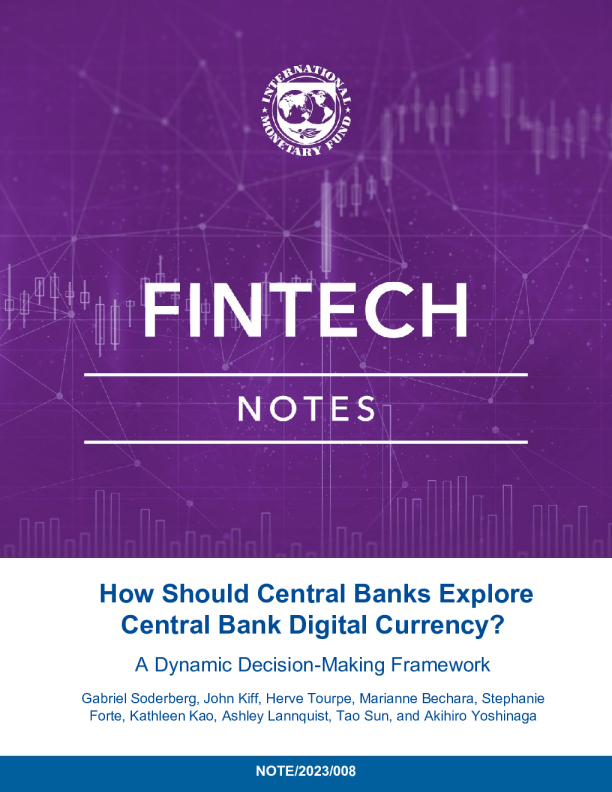 中央银行应该如何探索中央银行数字货币 ？