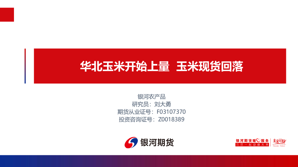 华北玉米开始上量 玉米现货回落