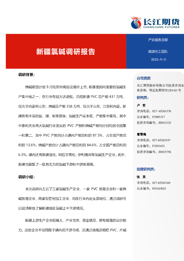 新疆氯碱调研报告