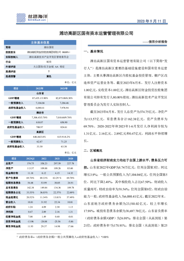 信用分析报告：潍坊高新区国有资本运营管理有限公司
