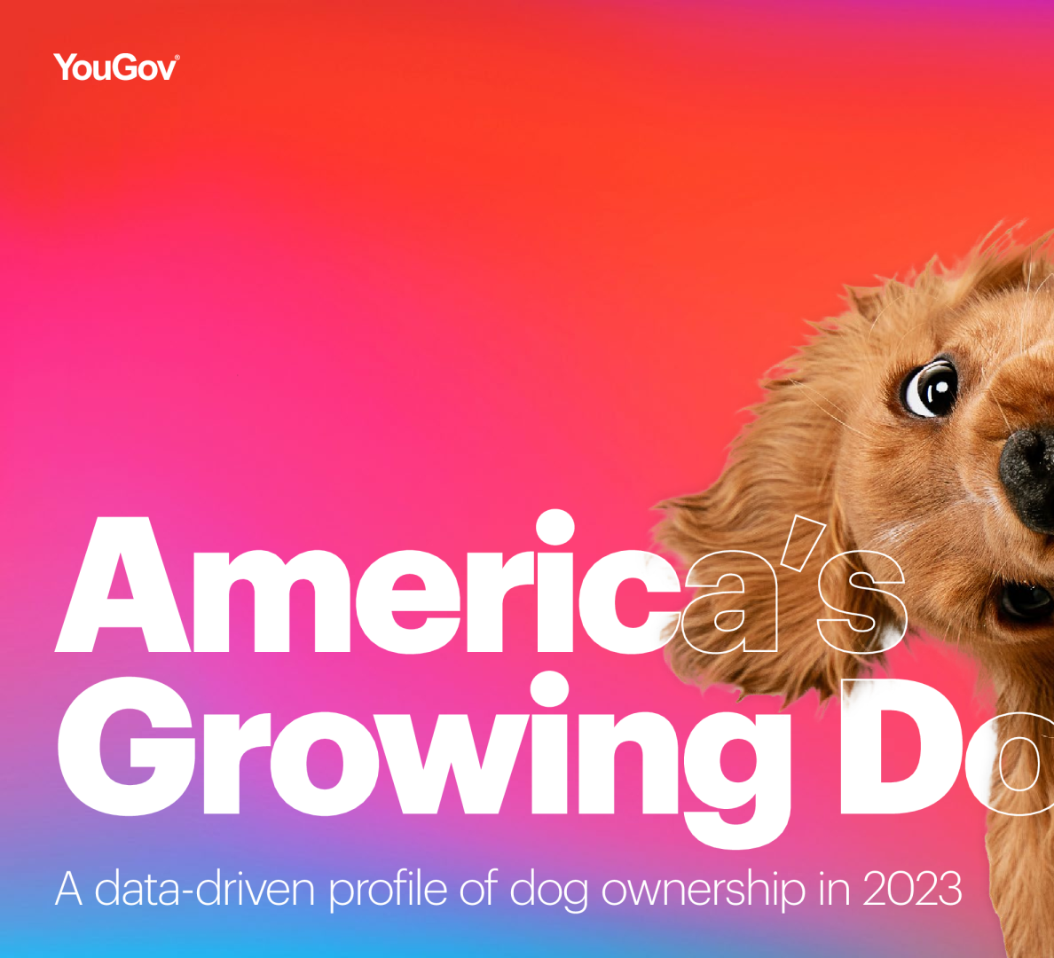 美国不断壮大的狗群