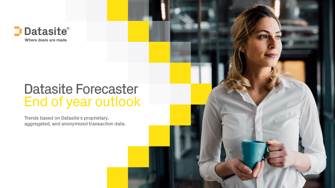 Datasite 预报员 ： 年底展望