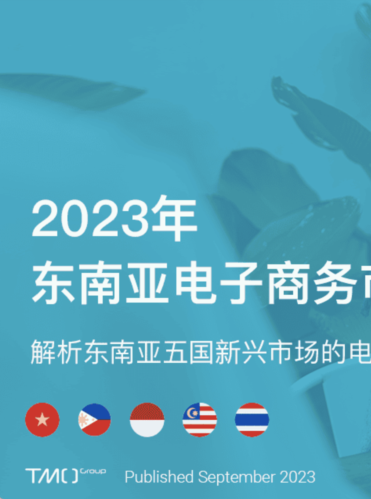 2023年东南亚电子商务行业市场洞察：解析东南亚五国新兴市场的电子商务和消费者