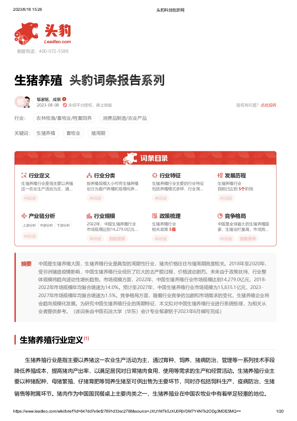 报告封面