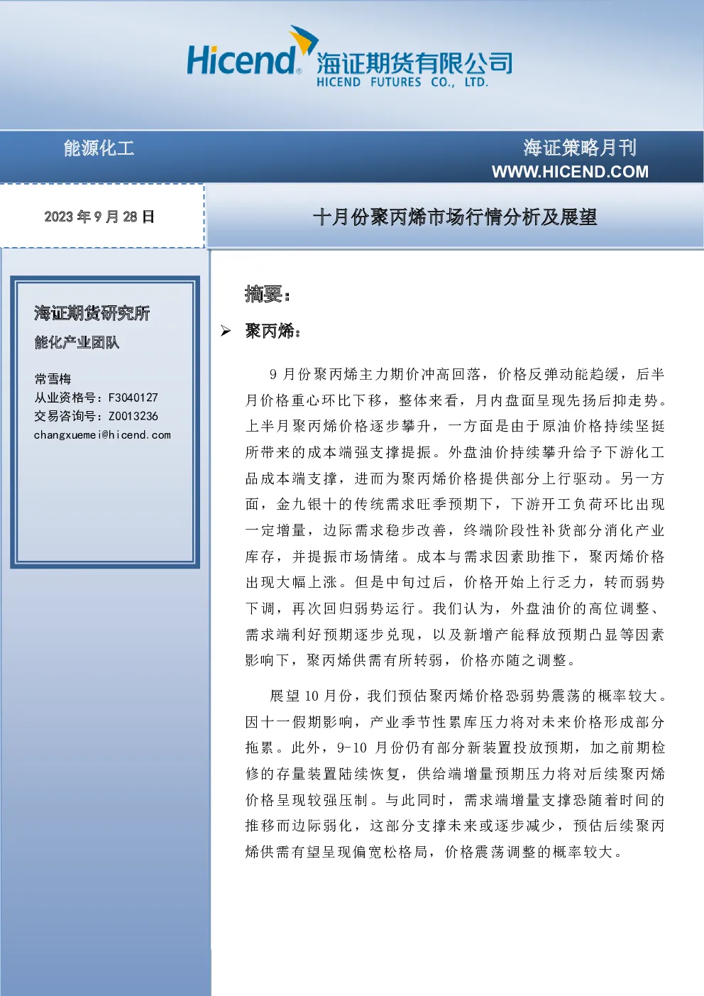 报告封面