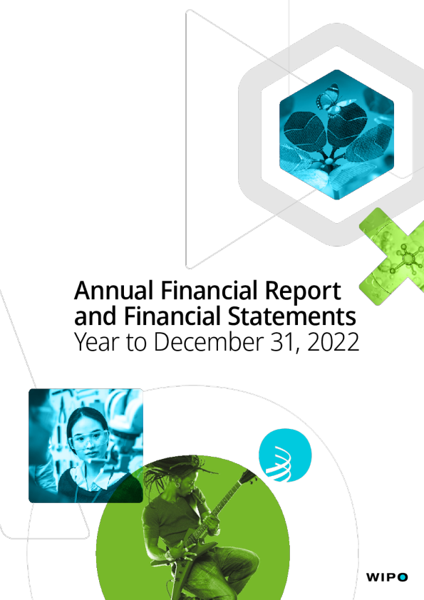 年度财务报告和财务报表