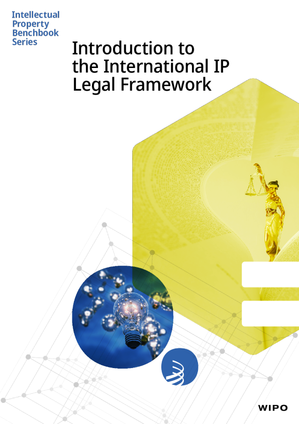 Introduction to the International Intellectual Property Legal Framework