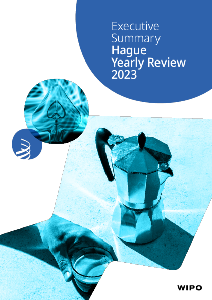 海牙 2023 年回顾 - 执行摘要
