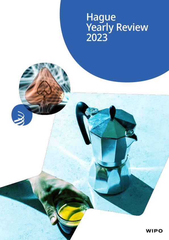 海牙年度回顾 2023