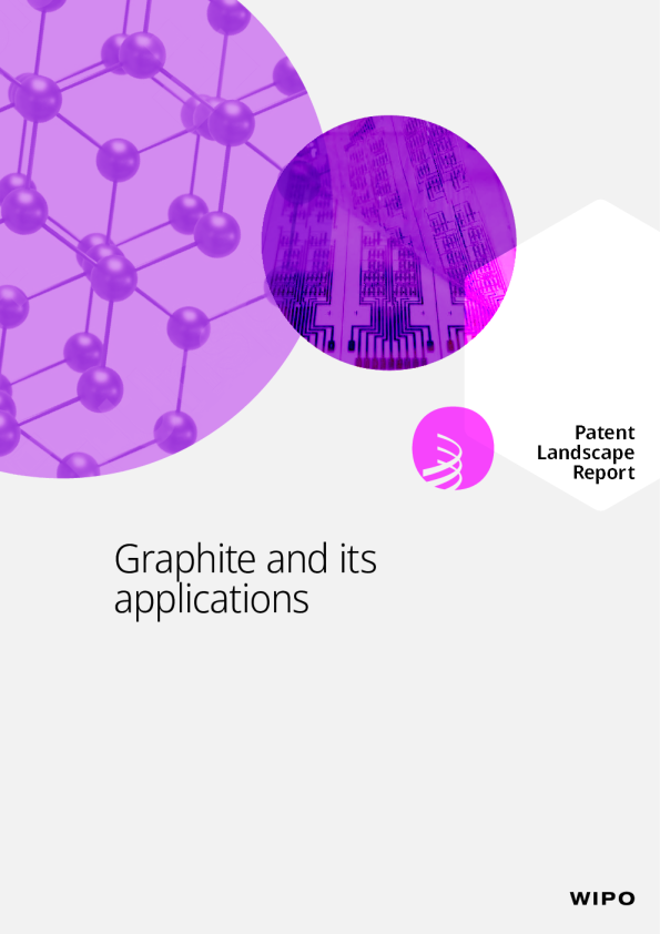 专利景观报告 - 石墨及其应用