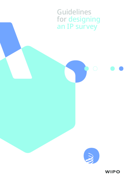 设计知识产权调查的准则