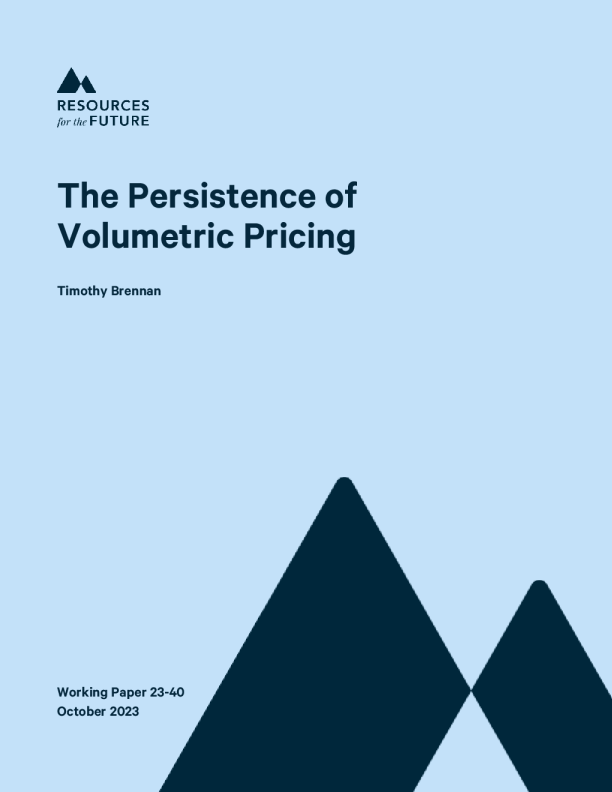 容量定价的持久性