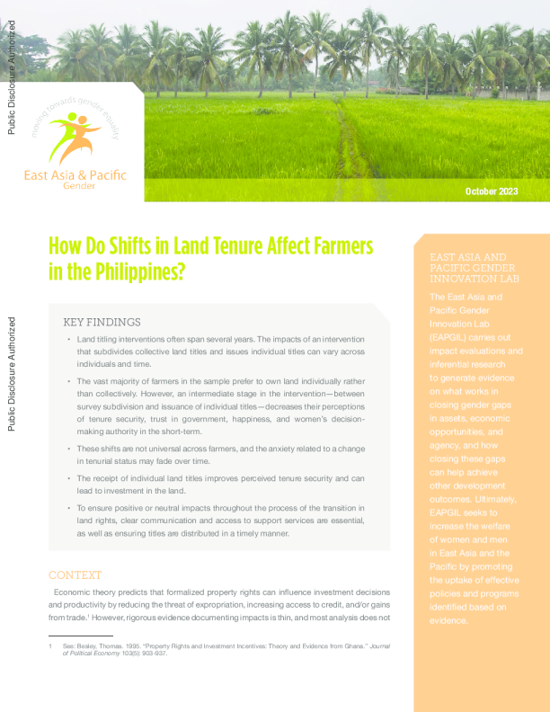 土地保有权的变化如何影响菲律宾农民？