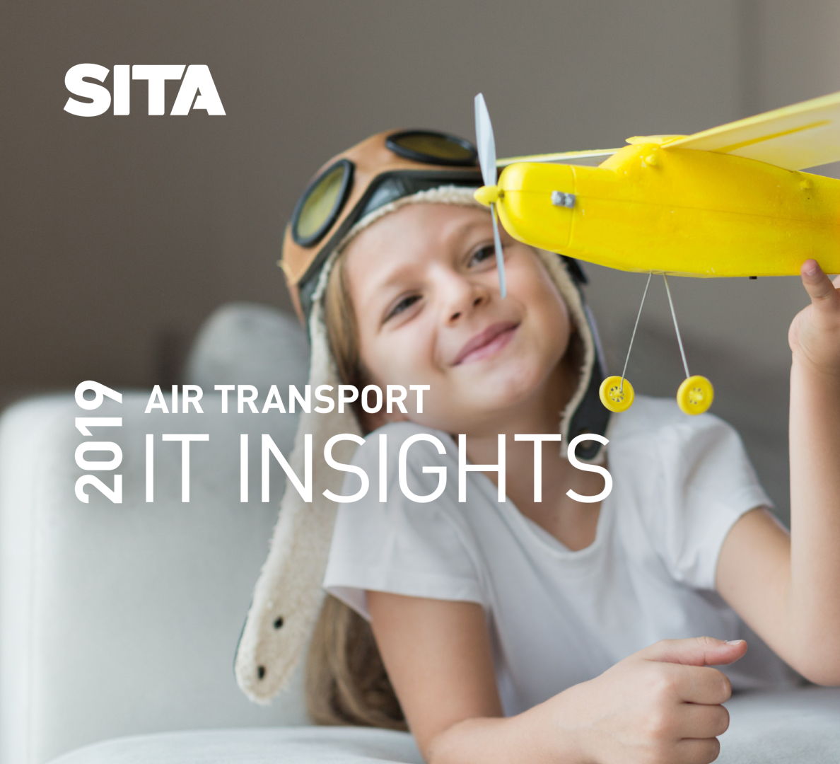 航空运输 IT 洞察 2019