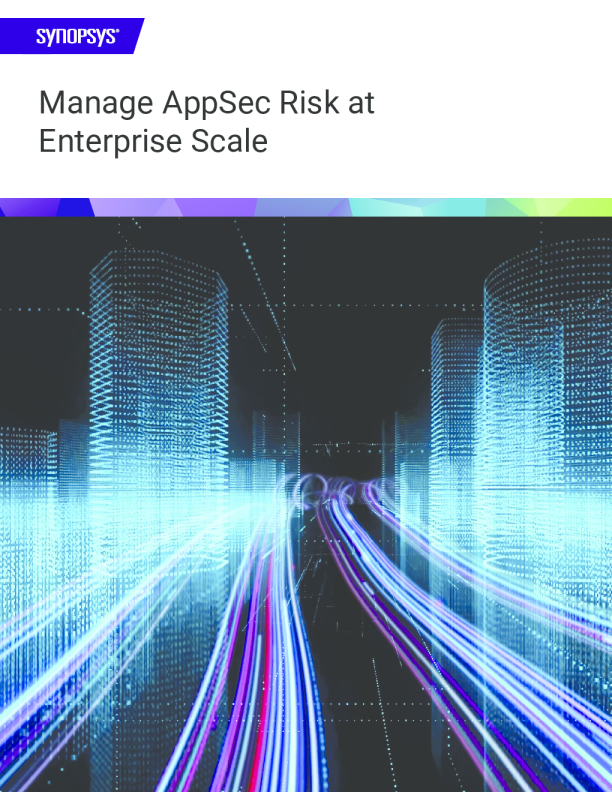 以企业规模管理 AppSec 风险