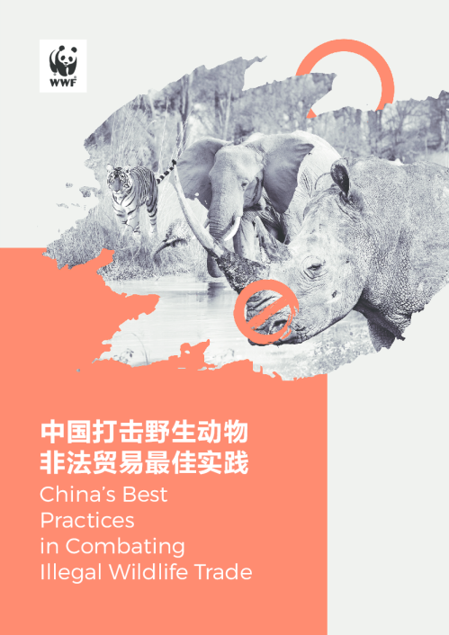 2023中国打击野生动物非法贸易最佳实践报告