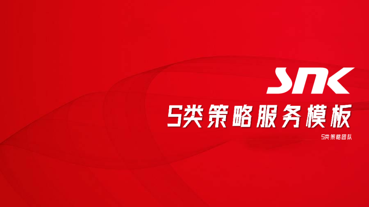 蓝色光标S类策略服务模板11.10