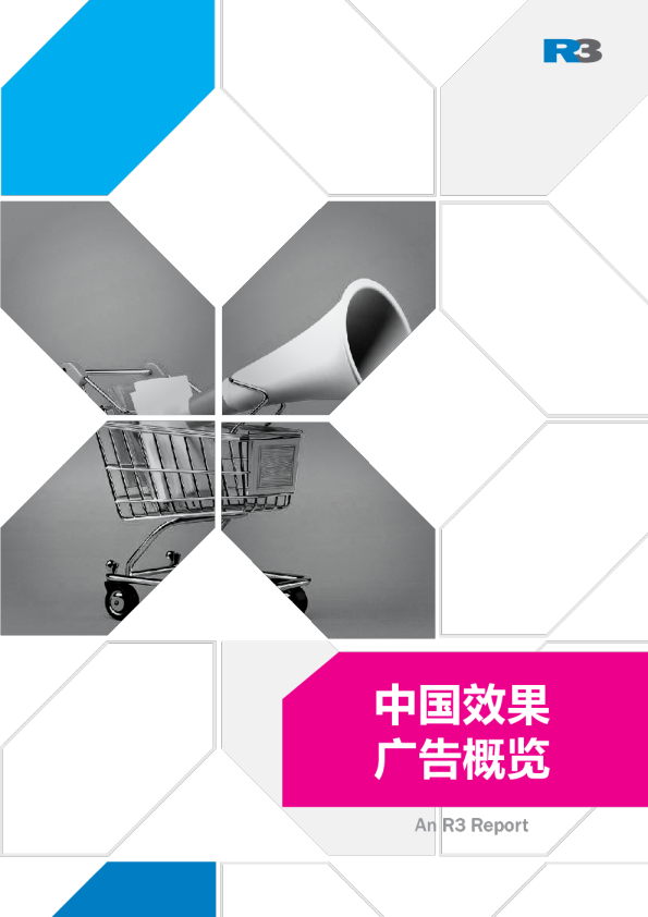 中国效果广告概览