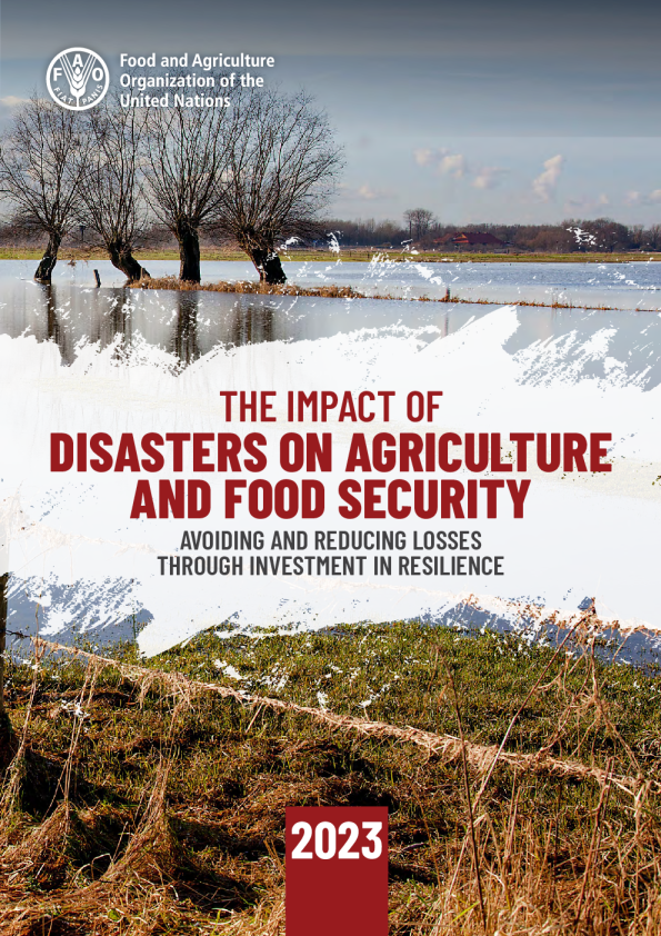 2023年灾害对农业和粮食安全的影响