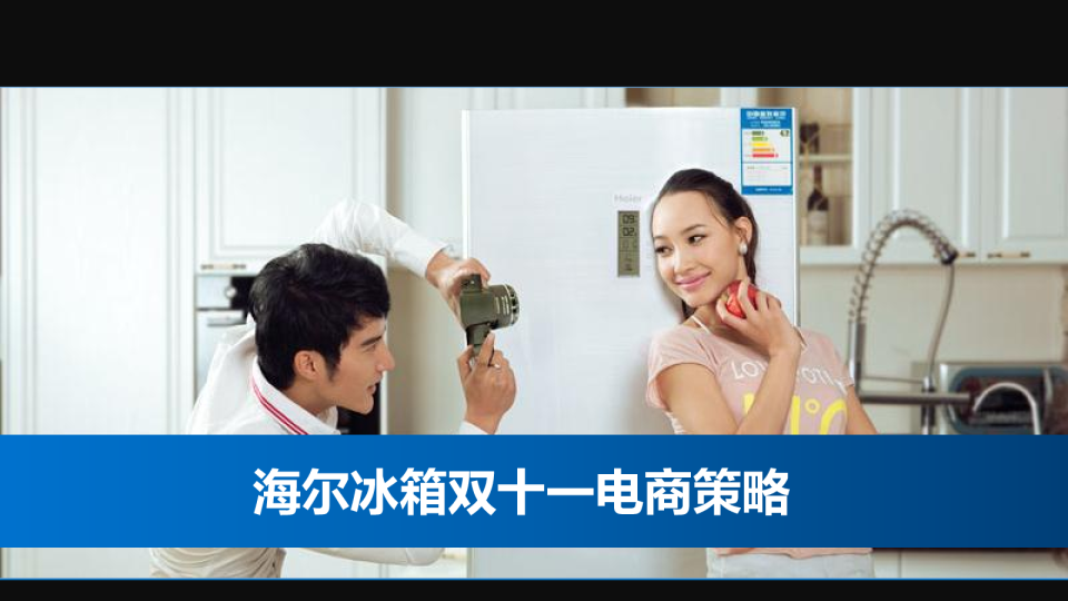 2015海尔冰箱双十一电商策略【双十一】