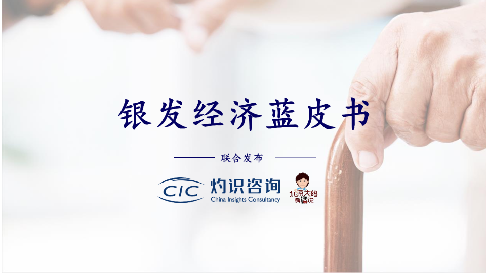 2023年银发经济蓝皮书
