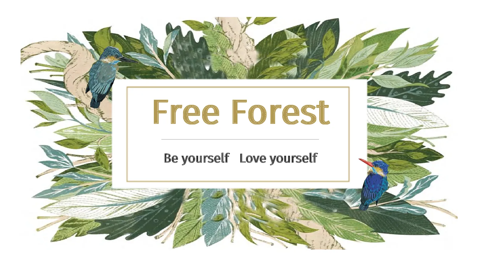 Free Forest森女系品牌店铺规划