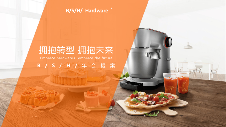 BSH年底方案完_file