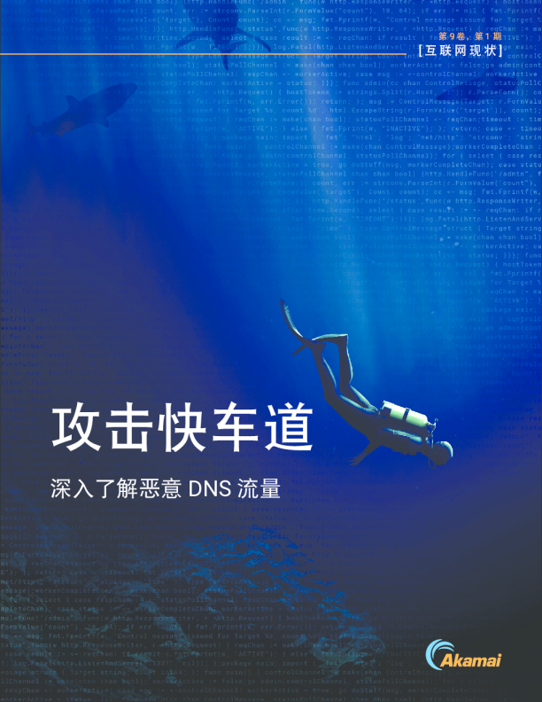 2023互联网现状报告-攻击快车道-深入了解恶意DNS流量