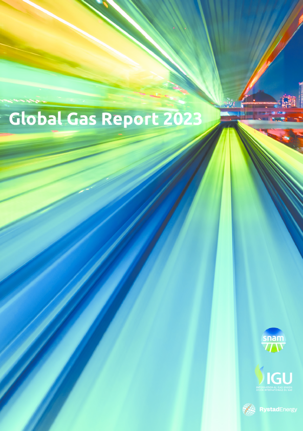 2023年全球天然气报告