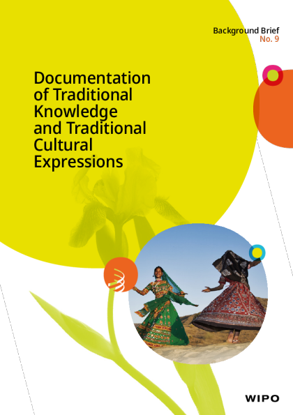 传统知识文献与传统文化表现形式