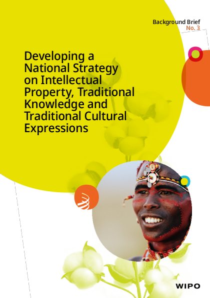 制定国家知识产权、传统知识和传统文化表现形式战略