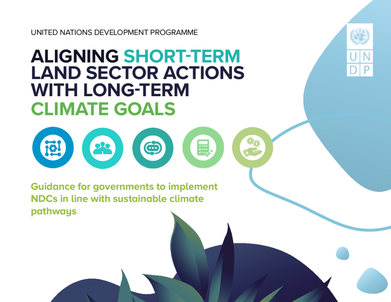 联合国开发计划署：将短期土地部门行动与长期气候目标对齐