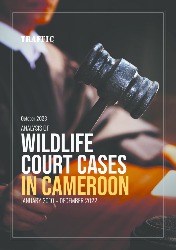 喀麦隆野生动物法院案件分析：2010年1月 – 2022年12月