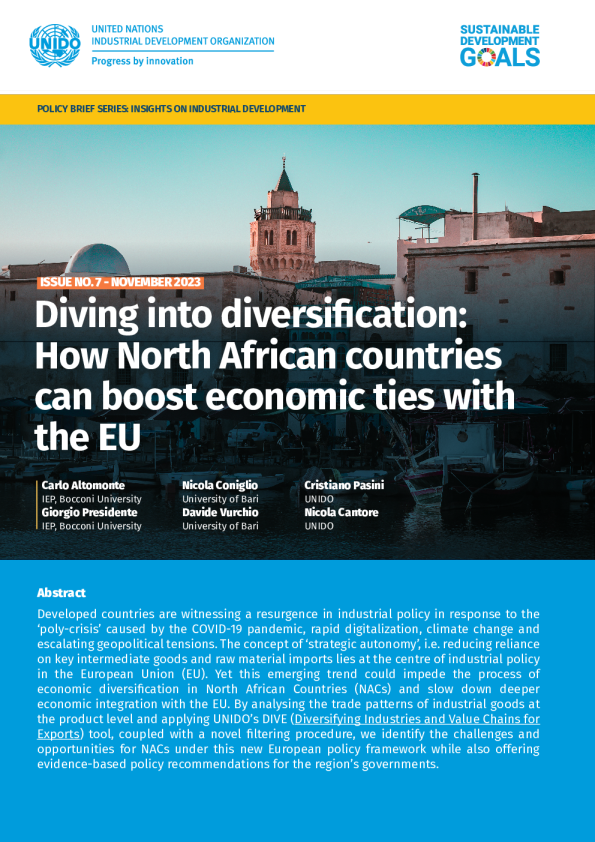 iid政策简报7：深入多样化北非国家如何加强与欧盟的经济联系