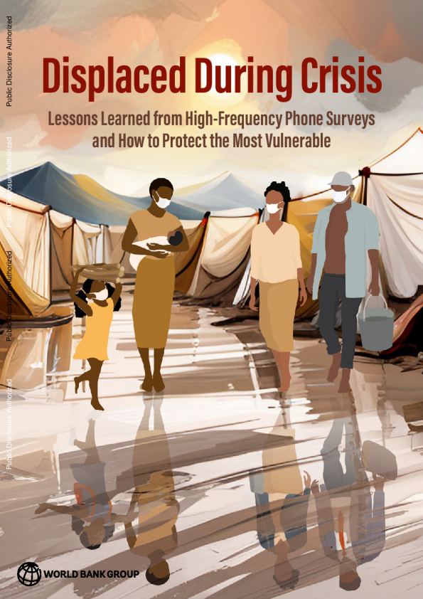 危机期间流离失所者：高频电话调查的经验教训以及如何保护最弱势群体