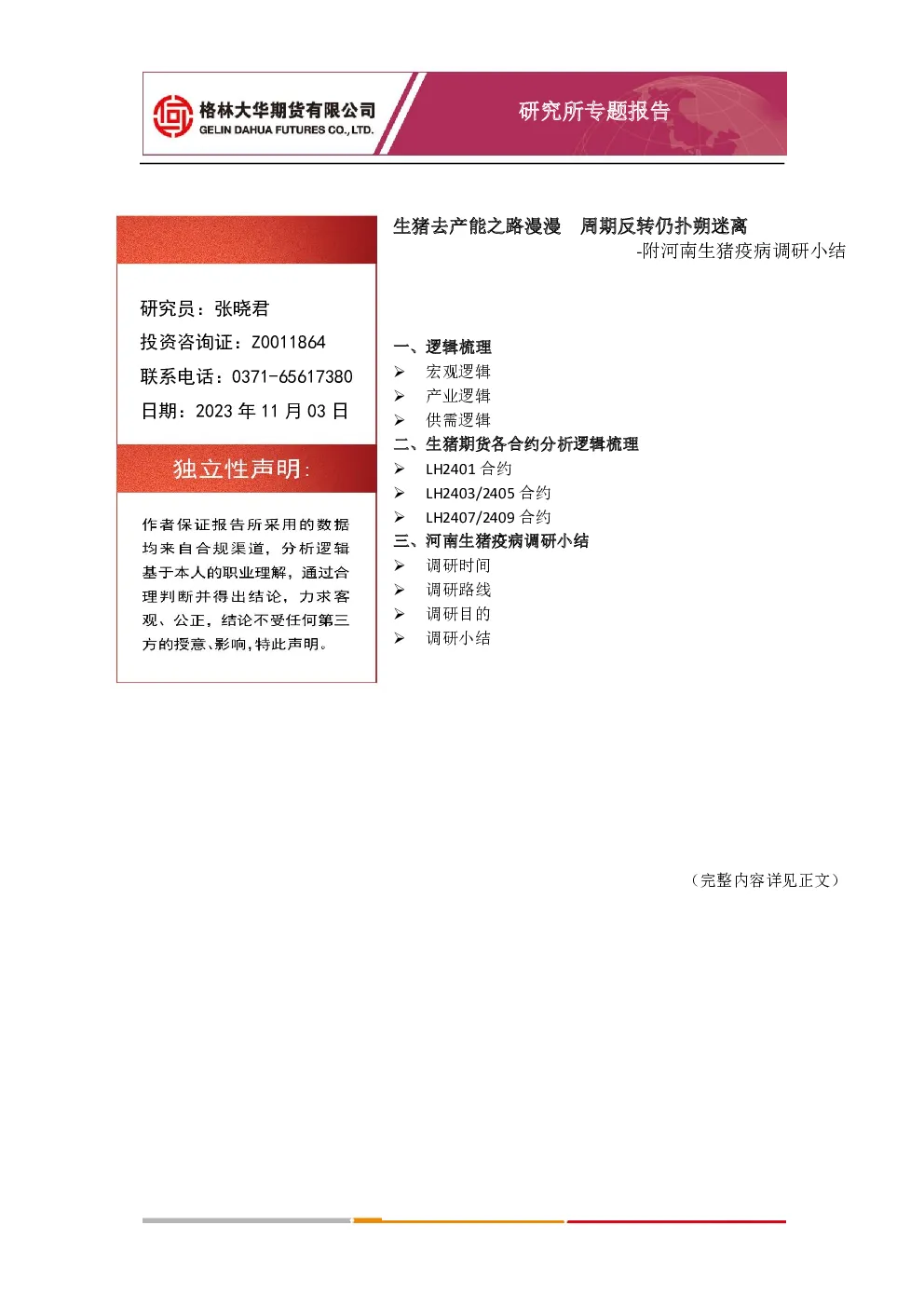 报告封面