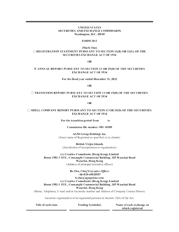 安高盟2022年度报告