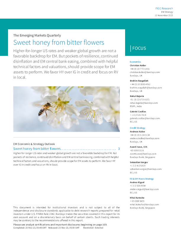 新兴市场季刊 ： 苦花中的甜蜜蜜