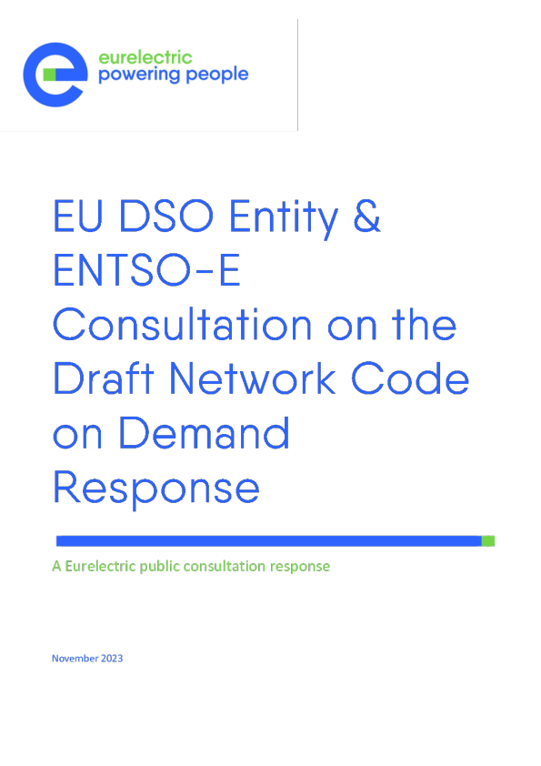 DSO 实体和 ENTSOE 有关网络法规草案的评论家